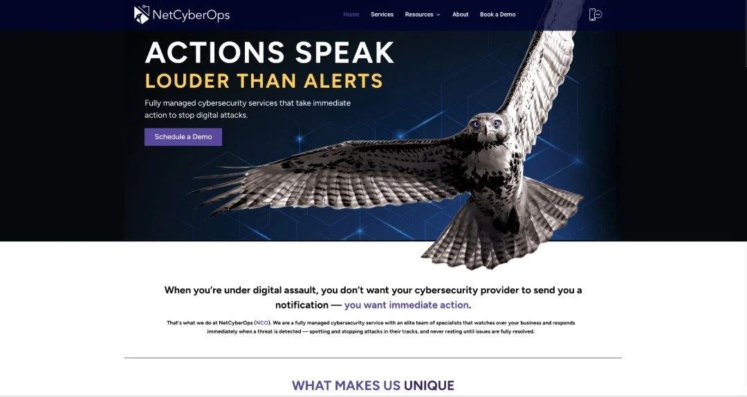 NetCyberOps website